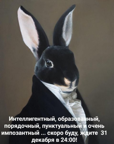 IMG-20221231-WA0037