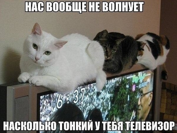 T8i5TkPgOI4