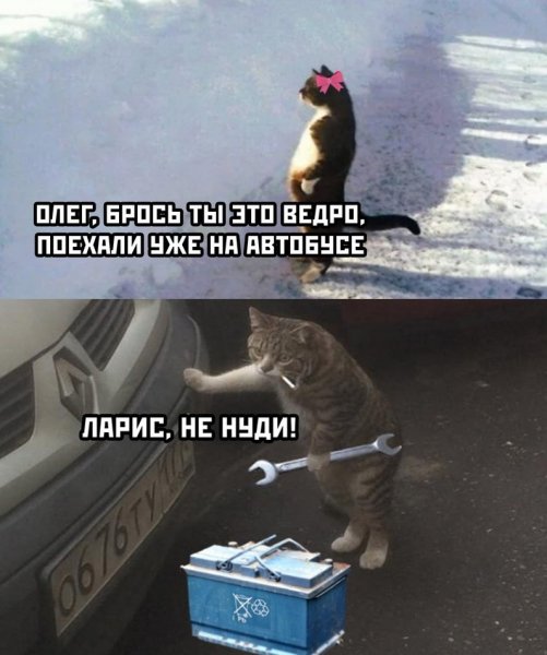 IMG 20201127 143613 239