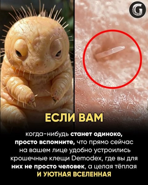 Обитатель