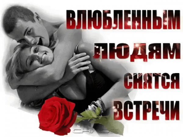 IMG 20181031 065442