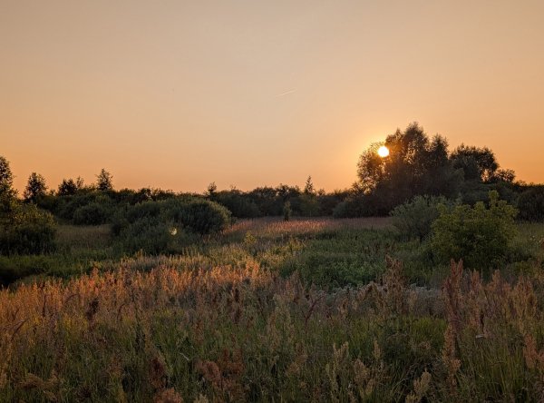 picture_396020974