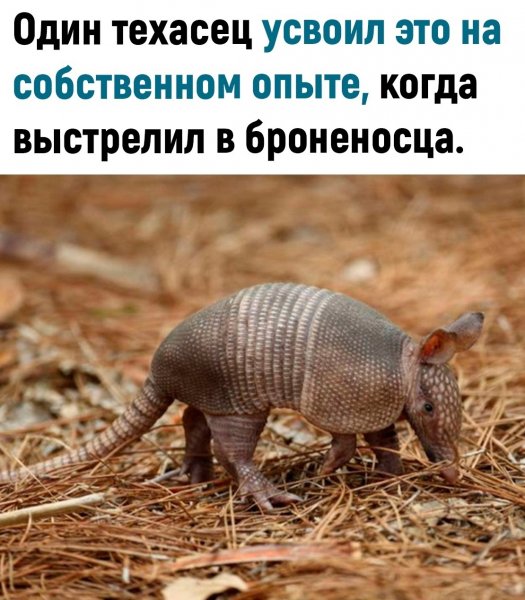 f 7OecqBOjo7zwWsy87heZQ0mrYyfKan-QqHzjlGAv3SksCLEOona5YSfT