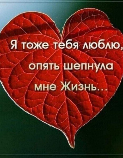 MRP7P0QVY5w