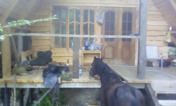 IMG 20200828 072411