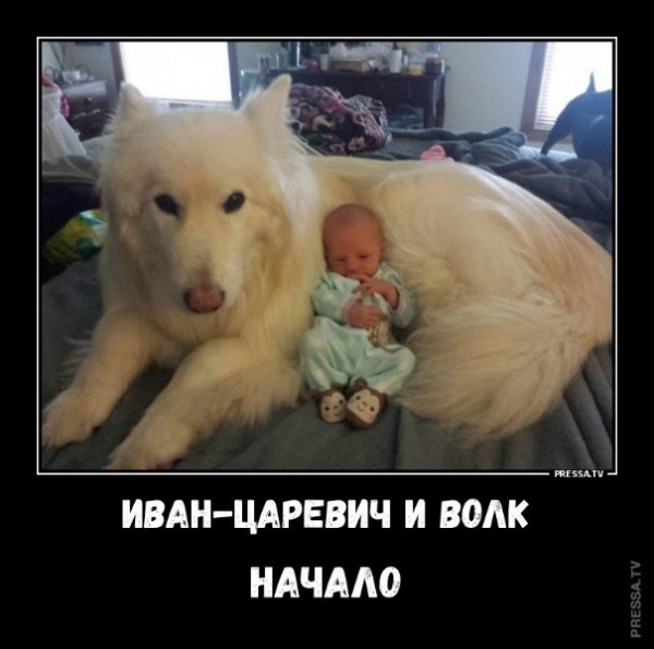 picture_242075969