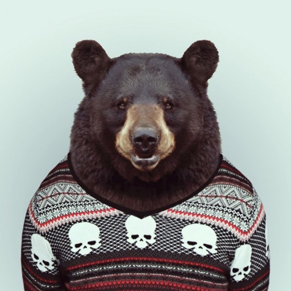 Zoo-Book pixanews-17-680x680