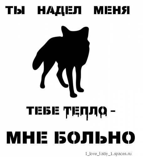 SXE.-
