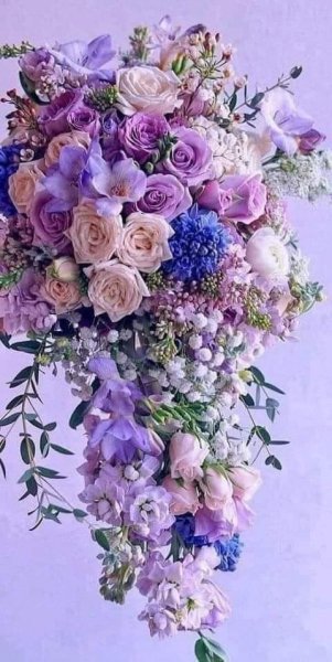FB IMG 1615091775687