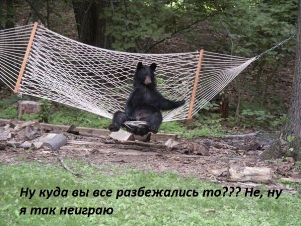 Images 6182