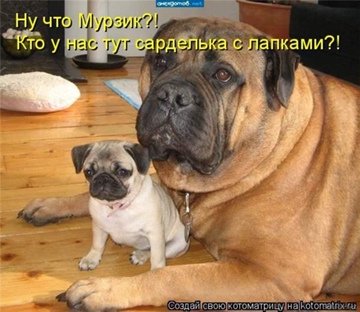 А???!!!!