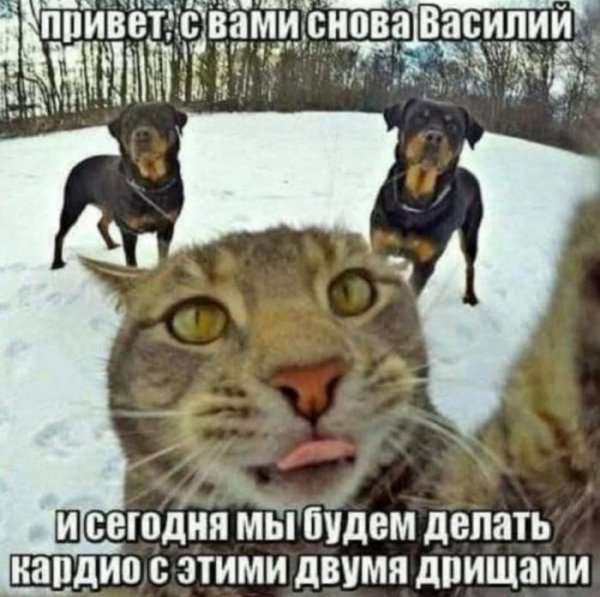 2c4b24a80b 00000000000