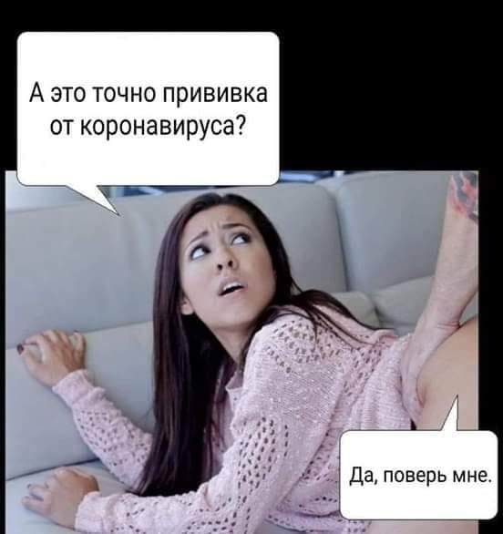 picture_262638953