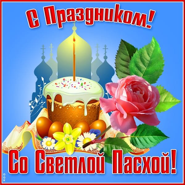 IMG-20230416-WA0040