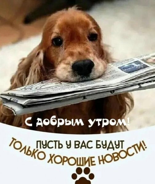 С добрым утром!