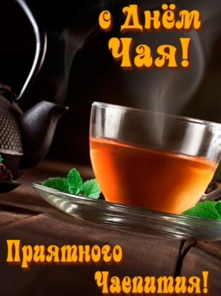 Друзья мои!