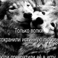 p.201.200.0