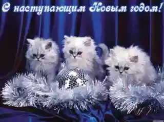 s-nastupaushim-novym-godom