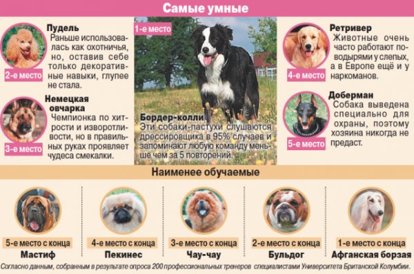 Это интересно