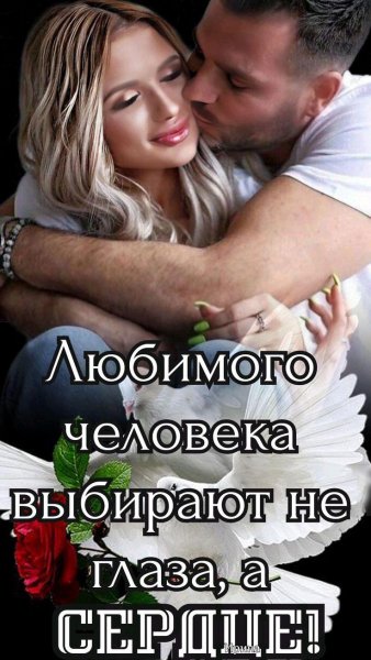 Любовь