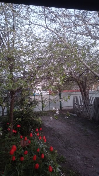 picture_411934140