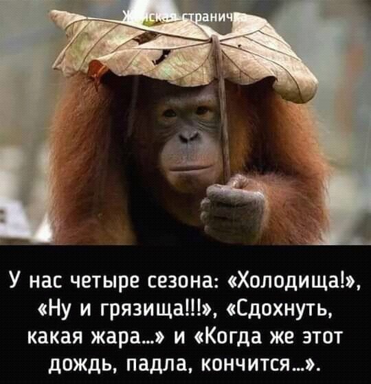 FB IMG 16306976833704371-