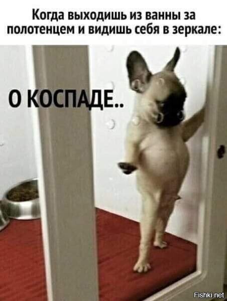 ))