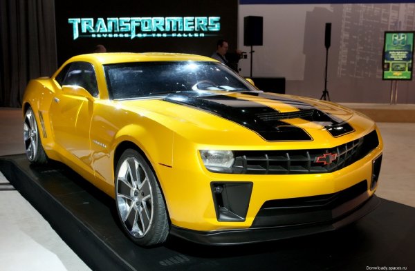 bumblebee-01
