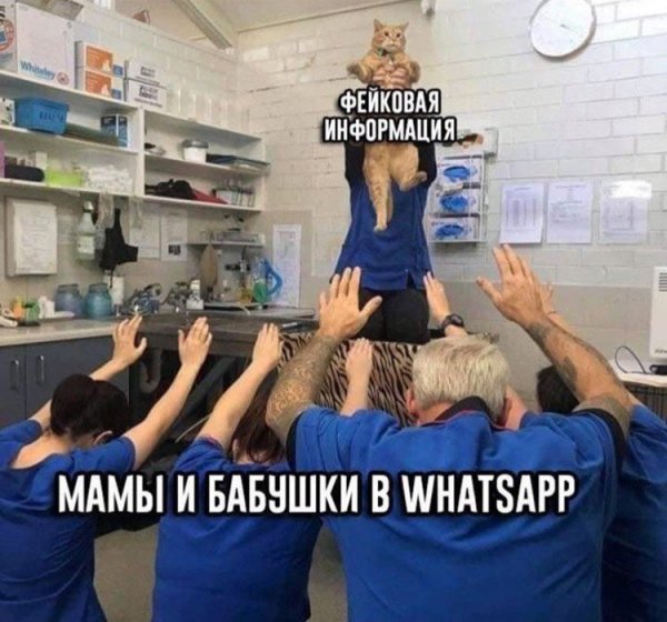 picture_402471000