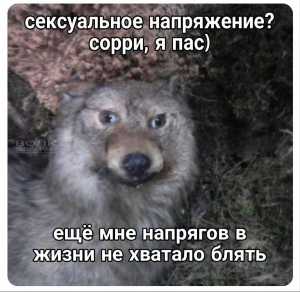 -разное-9444389