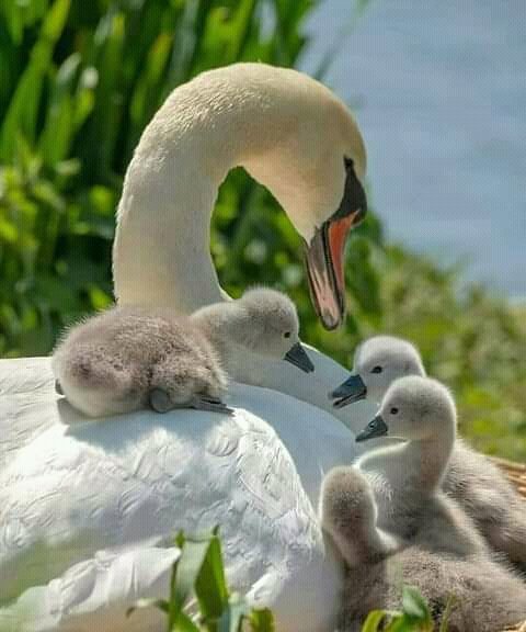 FB IMG 16255680886043640