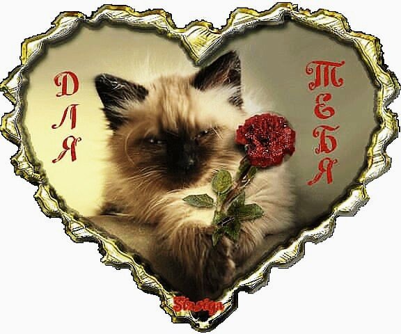 для тебя 092915
