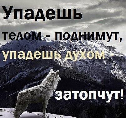 Волк-упадешь