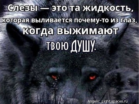 getImage (mschpschpwmlidmwrdmlmlmschrschidmlml