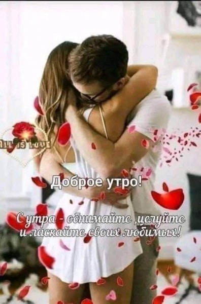 7f7aff0bc0f47c04bf1cc9ef0643a8d2