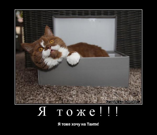 Да! ))