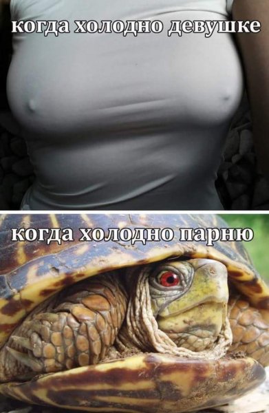 IMG 1539153289152
