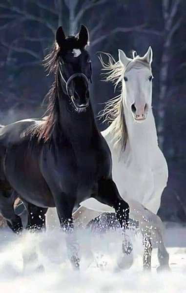 FB IMG 1613359788314