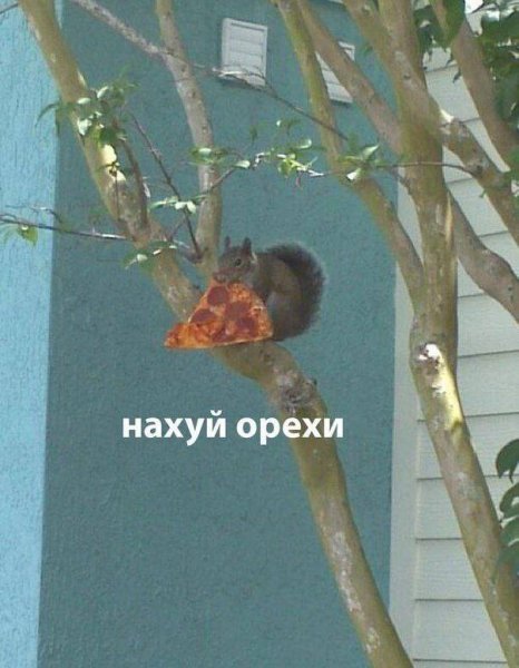 da73d9 19984183