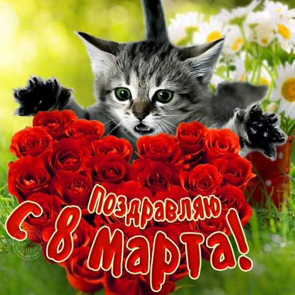 Vosmoe-marta-659
