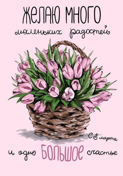IMG-20230308-WA0053