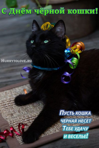 С-днем-черной-кошки-картинка-6-683x1024
