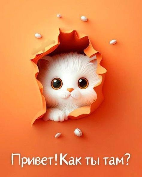 RmutalM8uRqEr79uUP8EEcRgMYk6rYWuZZtEGaZ99clvioUVJH7ByN