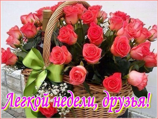 IMG 20170611 082508 5