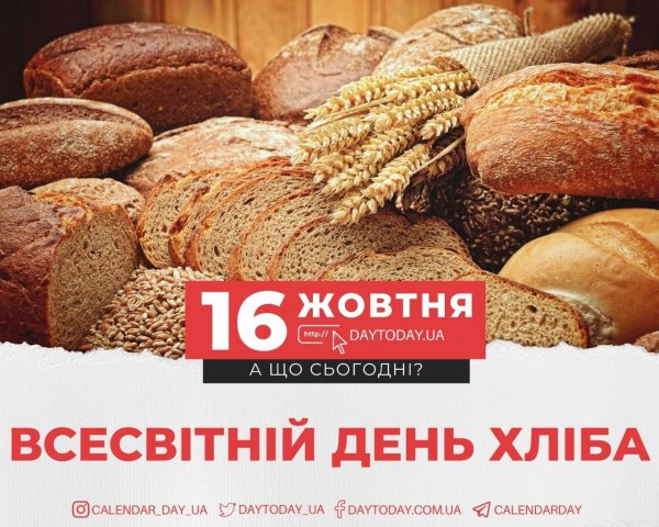 Изображение viber 2022-10-16 11-57-18-111