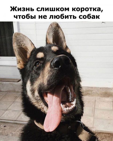 Так!