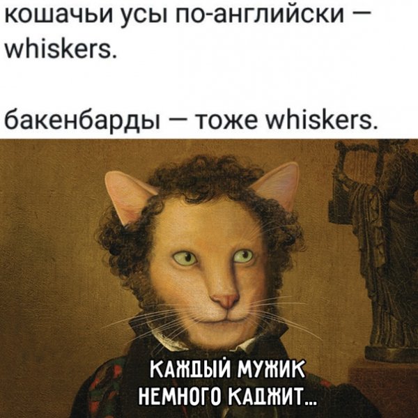 8e473ba56e 20418222
