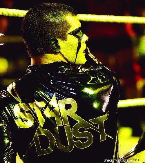 Star Dust