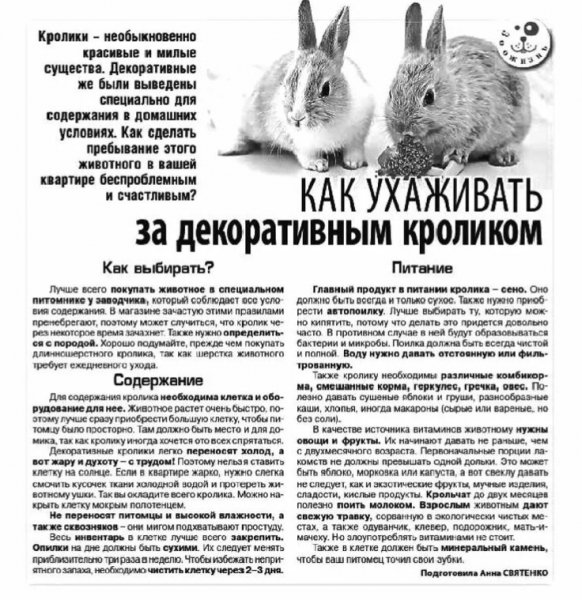 Наши ушастые питомцы