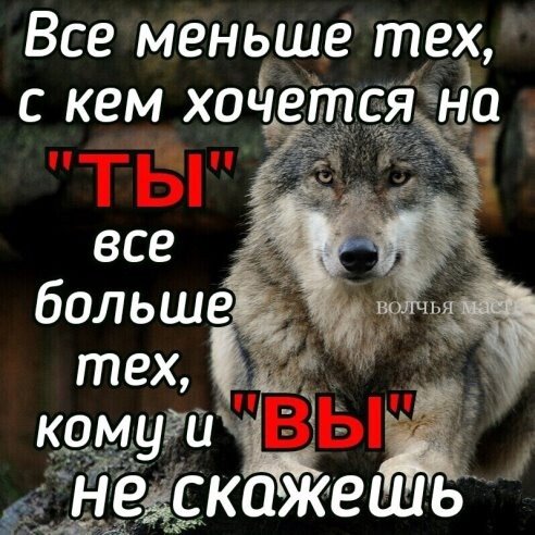 image (2) (27)